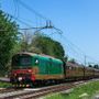Da Cuneo a Ventimiglia a bordo del treno storico &quot;delle Meraviglie&quot; al Fitwalking a Scarnafigi per una domenica alternativa