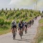 EVENTI / Domenica di appuntamenti in Granda: Cuneo chiude il Festival della Montagna, in Langa e Roero c'è la cicloturistica Bra-Bra