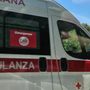 Uomo di 30 anni incornato da un toro in un’azienda agricola a Chiusa Pesio Uomo di 30 anni incornato da un toro in un’azienda agricola a Chiusa Pesio