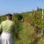 Controlli estivi nel settore agricolo: irregolare il 69% delle 155 aziende ispezionate in provincia