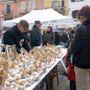 Weekend di metà novembre nel Cuneese tra fiere, festival, spettacoli e sapori d’autunno Weekend di metà novembre nel Cuneese tra fiere, festival, spettacoli e sapori d’autunno