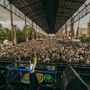 Kappa FuturFestival al Parco Dora, James Blakes inaugura il Sonic Park: cosa fare a Torino fino a domenica 6 luglio