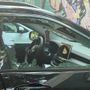Raid di San Giovanni, spaccano 7 auto in sosta: “Chieste le telecamere ma ignorati” [FOTO]