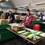 La macchina elettorale è pronta&quot;: alle urne oltre 630mila torinesi per il referendum