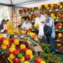 Fiera del Peperone a Carmagnola e Levante in concerto: cosa fare fino a domenica 30 agosto Fiera del Peperone a Carmagnola e Levante in concerto: cosa fare fino a domenica 30 agosto
