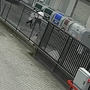 Tenta di rapinare un'anziana di 94 anni a Barriera di Milano: arrestato un 35enne Tenta di rapinare un'anziana di 94 anni a Barriera di Milano: arrestato un 35enne