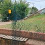 Mirafiori Sud, il campetto di via Artom tra trappole di ferro e degrado: “Messa in sicurezza urgente” Mirafiori Sud, il campetto di via Artom tra trappole di ferro e degrado: “Messa in sicurezza urgente”