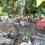 "Basta spaccio, rifiuti e prostitute": i comitati si mobilitano per chiudere più sicurezza per parco Sempione "Basta spaccio, rifiuti e prostitute": i comitati si mobilitano per chiudere più sicurezza per parco Sempione