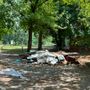 Discariche abusive e fumi tossici, allarme al Parco della Confluenza: "Situazione gravissima" Discariche abusive e fumi tossici, allarme al Parco della Confluenza: "Situazione gravissima"