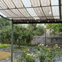 Break alla morsa del caldo: su Torino arriva la pioggia, ma si contano anche i danni [FOTO]