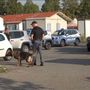Blitz al campo nomadi di Mirafiori: sequestrati armi, jammer e auto per le truffe agli anziani [VIDEO]