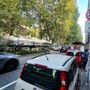 Il dramma di Nicolò, morto a 7 anni sulla strada condivisa di Vanchiglia: domani la cordata in bici dei genitori per la sicurezza Il dramma di Nicolò, morto a 7 anni sulla strada condivisa di Vanchiglia: domani la cordata in bici dei genitori per la sicurezza