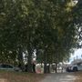 Schiamazzi e fuochi non autorizzati alla Pellerina, stangata estiva con 98 sanzioni