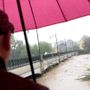 Pasqua in giallo, ma per Pasquetta il Piemonte torna a vestirsi di verde dopo una settimana di paura