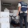 La Guardia Costiera sequestra due tonnellate di tonno rosso pescato illegalmente e destinato ad un ristorante della provincia di Varese