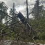 Il maltempo colpisce il Sacro Monte: fulmine manda in tilt la funicolare, alberi abbattuti dal vento