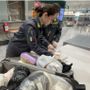 Malpensa, sequestrati 11.400 farmaci illegali e 15 litri di insetticida letale per l'uomo Malpensa, sequestrati 11.400 farmaci illegali e 15 litri di insetticida letale per l'uomo