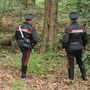 Centinaia di cessioni di cocaina, eroina e hashish nei boschi: pusher in manette Centinaia di cessioni di cocaina, eroina e hashish nei boschi: pusher in manette
