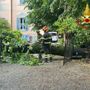 Violento temporale nella notte tra Varese e Malnate: numerosi alberi caduti