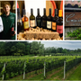 Cascina Ronchetto, quel mondo antico che riporta in vita i vini varesini: «Chiamateli ViVa e riempite un calice con il nettare della nostra terra»