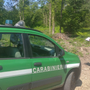 Gemonio, 12mila metri quadri di bosco cancellati per fare spazio a un prato: denunciati i titolari di un’azienda agricola. Maxi multa da 172mila euro