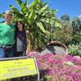 Il più bel biglietto da visita floreale di Varese. Fulvio e Patrizia e la loro passione sempre in fiore: così vive la Floricoltura Pozzi