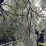 VIDEO. Maltempo, la conta dei danni: nel Varesotto oltre 40 interventi di soccorso