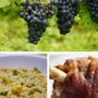 A SPASSO NEL WEEKEND. Vendemmia, sagre, buon cibo e musica dal vivo: l'autunno è arrivato ma in provincia di Varese la voglia di fare festa continua