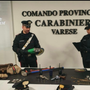 Inseguimento da film tra Cocquio e Besozzo: fermato dai carabinieri un 31enne albanese, il complice riesce a fuggire Inseguimento da film tra Cocquio e Besozzo: fermato dai carabinieri un 31enne albanese, il complice riesce a fuggire
