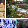 A SPASSO NEL WEEKEND. Fiera dell'Asparago, Varese Beer Festival, Musi di Varese, Festa delle Rose, un grande concerto gospel al Lyceum e non solo: boom di caldo ed eventi A SPASSO NEL WEEKEND. Fiera dell'Asparago, Varese Beer Festival, Musi di Varese, Festa delle Rose, un grande concerto gospel al Lyceum e non solo: boom di caldo ed eventi