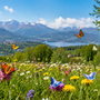 A SPASSO NEL WEEKEND. Natura, musica e sapori all’insegna del divertimento: ecco gli eventi del fine settimana in provincia di Varese