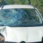 Giovani travolti da un’auto a Maccagno: morta una ragazza, quattro feriti gravi