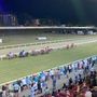 Luci all'ippodromo delle Bettole: stasera a Varese la voglia di correre batte il De Profundis