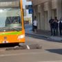 VIDEO. Varese, incredibile in via Morosini: uomo si sdraia davanti al bus in pieno centro