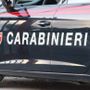 Vedano Olona, i carabinieri sventano un furto in casa della "banda dell'Alfa Romeo": malvivente bloccato, due in fuga Vedano Olona, i carabinieri sventano un furto in casa della "banda dell'Alfa Romeo": malvivente bloccato, due in fuga