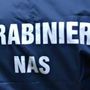 I carabinieri del Nas smantellano un traffico nazionale di farmaci anabolizzanti