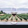Degustazioni e presentazioni: in Toscana la settimana del vino, 13–20 febbraio 2026