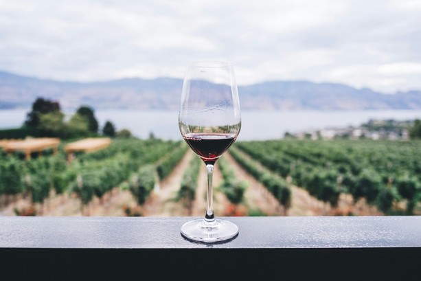 Degustazioni e presentazioni: in Toscana la settimana del vino, 13–20 febbraio 2026