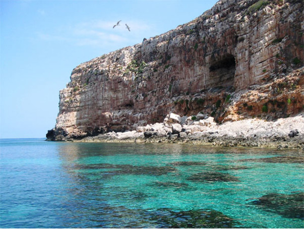 Per una settimana ‘Egadi blu fest’ terrà banco nelle tre isole per raccontare il mare