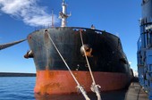 “La navigazione deve rimanere libera sia nel Mar Rosso che nello Stretto di Hormuz”