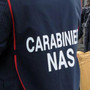 Dai controlli dei carabinieri del Nas in tutta Italia emergono irregolarità al 37%
