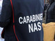 Dai controlli dei carabinieri del Nas in tutta Italia emergono irregolarità al 37% Dai controlli dei carabinieri del Nas in tutta Italia emergono irregolarità al 37%