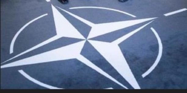 “È indispensabile la sinergia tra Nato e Unione europea per la sicurezza transatlantica”