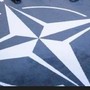 “È indispensabile la sinergia tra Nato e Unione europea per la sicurezza transatlantica”