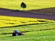 Approvazione europea alla revisione mirata della politica agricola comune