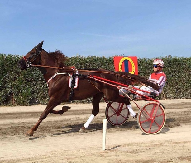 Addio a Varenne: si è spento il "Capitano", leggenda assoluta dell'ippica mondiale