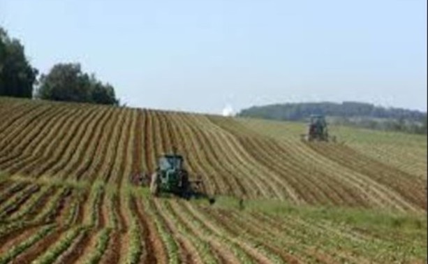 Destinati 73 milioni agli agricoltori italiani dalla Commissione europea