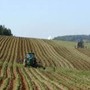 Destinati 73 milioni agli agricoltori italiani dalla Commissione europea Destinati 73 milioni agli agricoltori italiani dalla Commissione europea