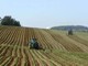 Destinati 73 milioni agli agricoltori italiani dalla Commissione europea Destinati 73 milioni agli agricoltori italiani dalla Commissione europea