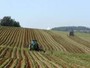 Destinati 73 milioni agli agricoltori italiani dalla Commissione europea